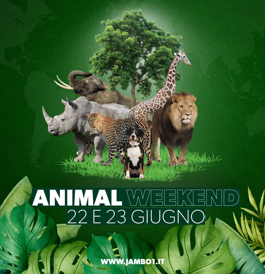 𝐀𝐧𝐢𝐦𝐚𝐥 𝐖𝐞𝐞𝐤𝐞𝐧𝐝